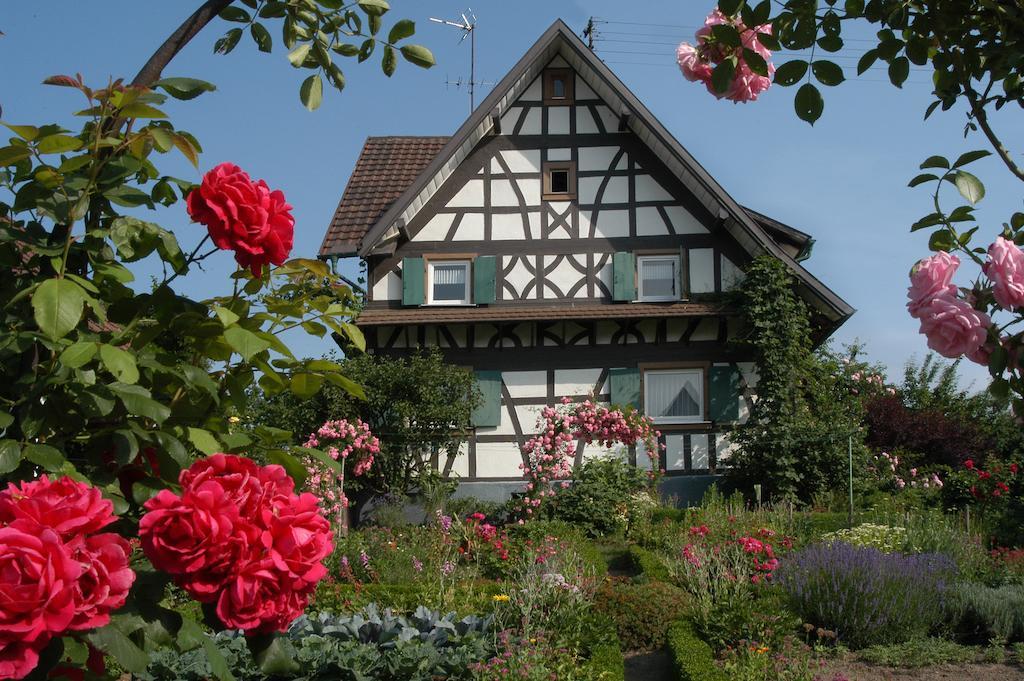 Pflugwirts Hotel Und Gasthaus Oberkirch  Εξωτερικό φωτογραφία